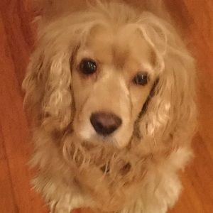 Meet your Posher, Claire